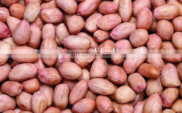 Stainless steel wet peanut bean soybean almond peeling machine