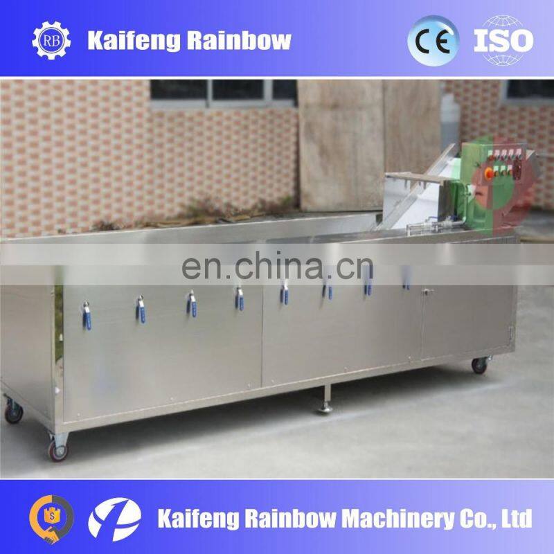 Good Feedback High Speed 500kg/h Industrial Automatic Fruit Washer Dryer Vegetable Washing Machine
