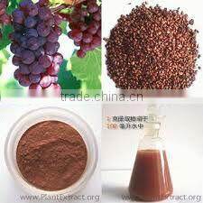 100% natural grape seed P.E./grape seed extract powder