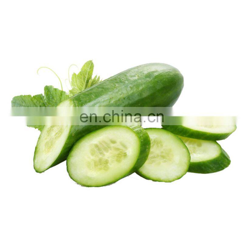 Health Food Supplement Baked AD Fruit Part Slices/Flakes Organic Vegetables Dehydrated Dried Cucumber