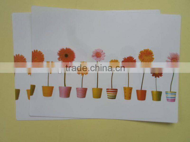 Eco friendly custom design pp placemat, heat waterproof Dining table placemat