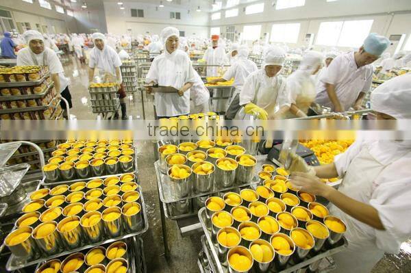 2015 NEW crops canned strawerry