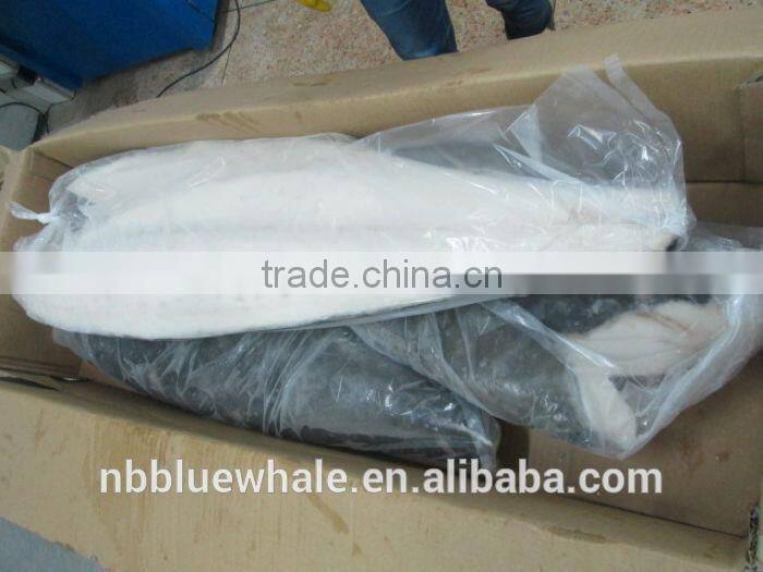 New oilfish HGT from ningbo blue whale co