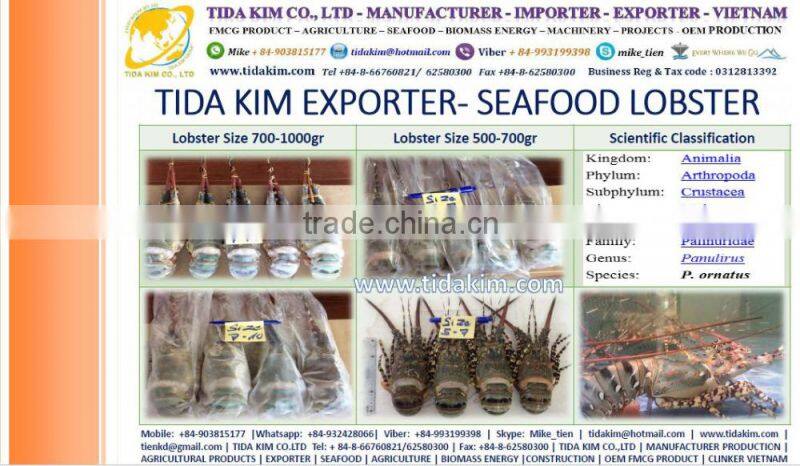 TIDA KIM ITOYORI SURIMI FROZEN BIG EYE SNAPPER ESO SEABREAM MIX GS 500 700 900 LOBSTER SHRIMP CRAB KINTOKIDAI GUCHI KOCHI RIBBON