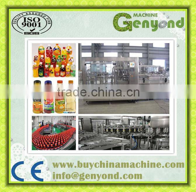 Bottled Fruit Juice Production Line/Equipment with factory price