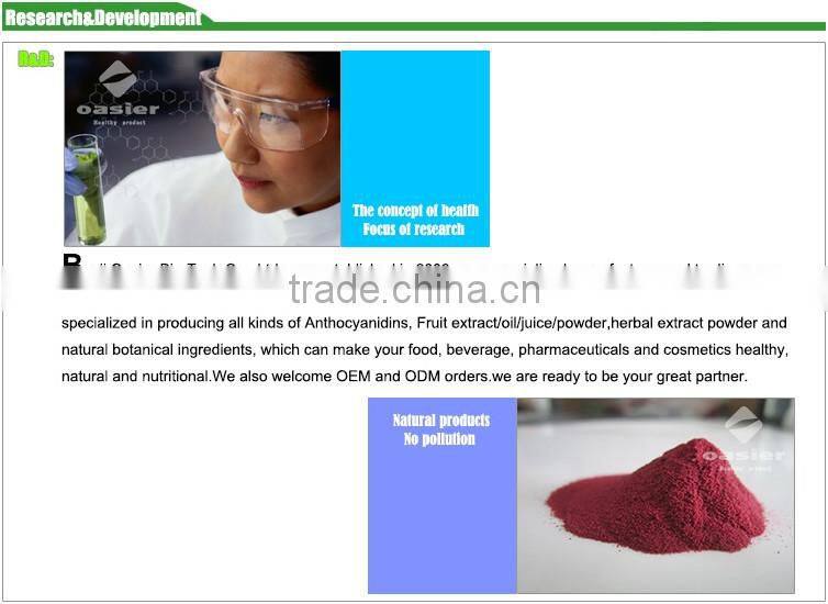 GMP Super Antioxidant Blueberry Fuit Powder