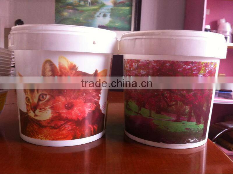 DAKE-250T automatic plastic bucket printing machine