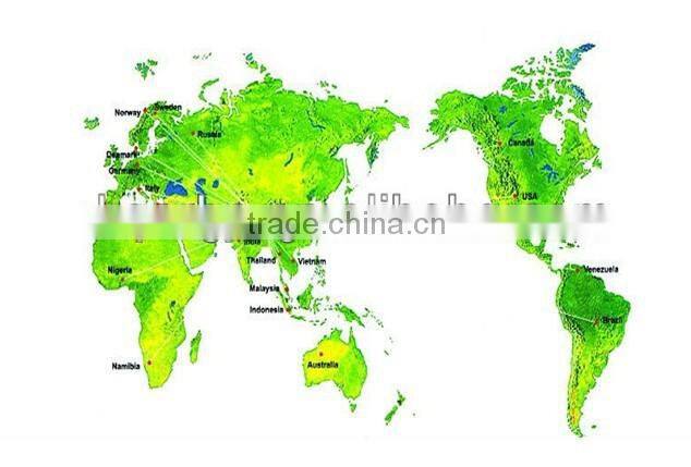 China High Quality Dirt Bike Fork Motorcycle Front Shock