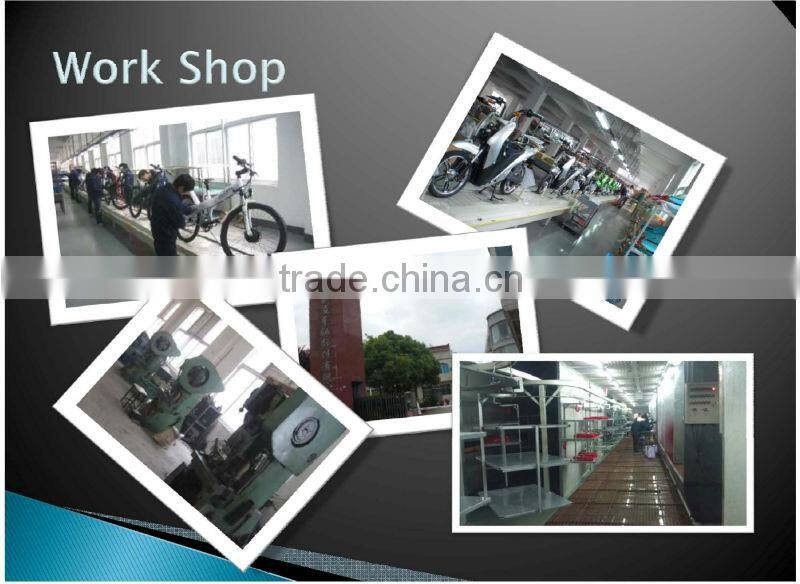 Small city electric bicycle 2014 new design e-bike motor 250w 24v