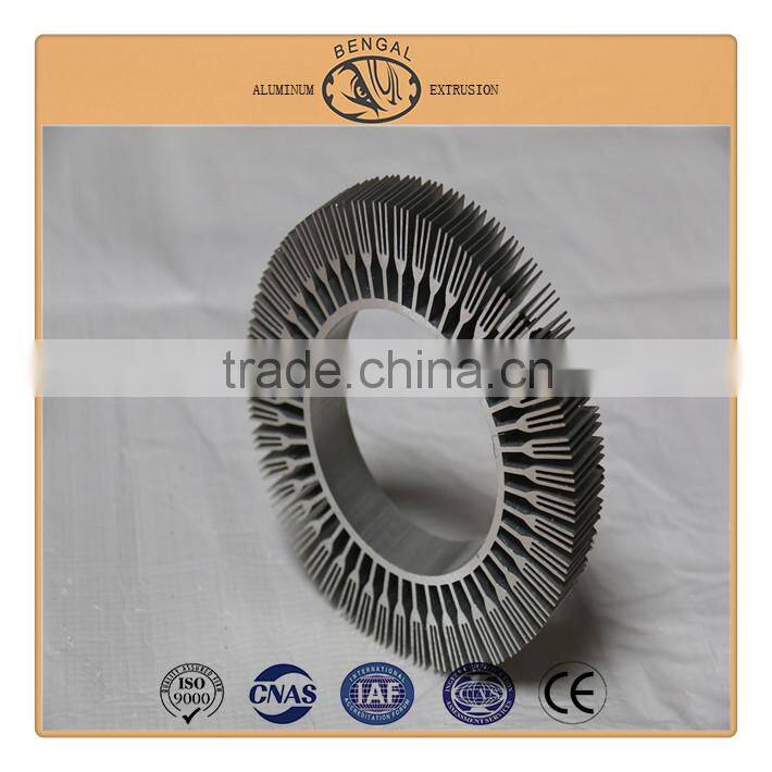 Aluminum Alloy 6000 Series Extrusion Aluminum Heat Sink for LED Light