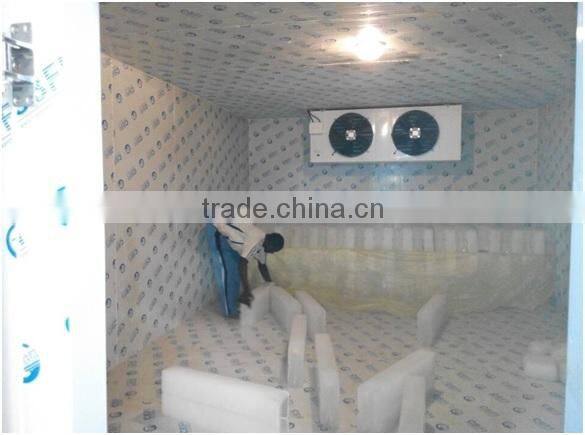 Meat and Fish Storage Cold Room for sale