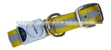 Ribbon Pet Collar and Leash