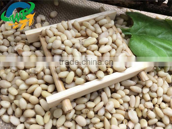 Chinese pine nuts without shell for export