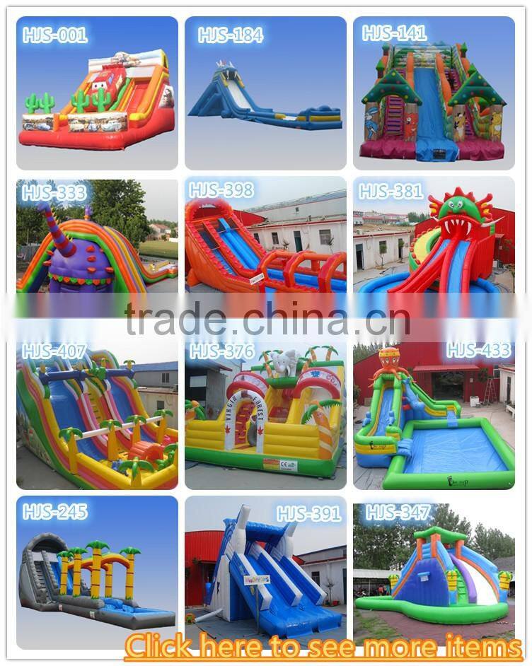 Giant Slide for Sale, Dry Slide Rental, 23' Inflatable Slide
