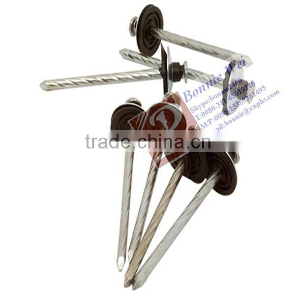 E.G. Umbrella head ROOFING NAIL