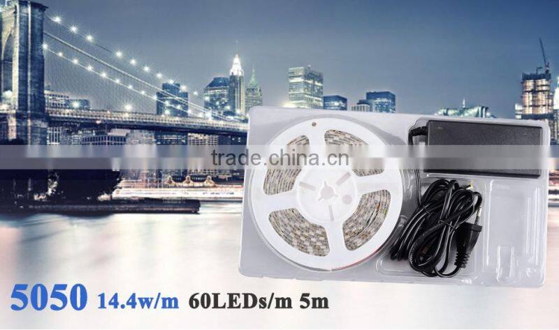 DC12V 5050 60LED/M waterproof led strip light with white FPC+power supply single color christmas light