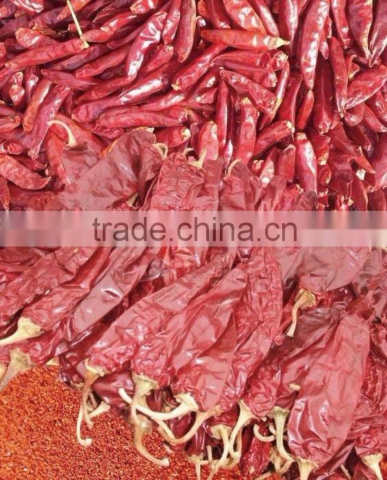 Red chilli, Red Bullet (Zidantou chilli) , small chilli