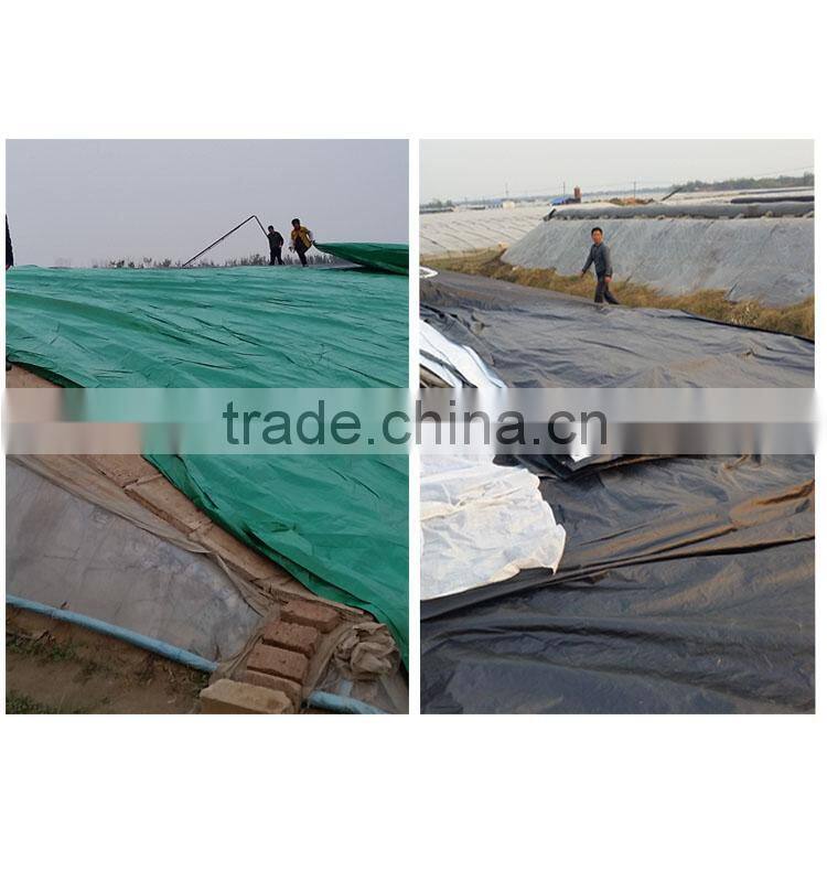 qingzhou baosheng tarpaulin, 2015 production all kinds tarpaulin sizes PE tarps China pe tarpaulin factory ,Pe tarpaulin