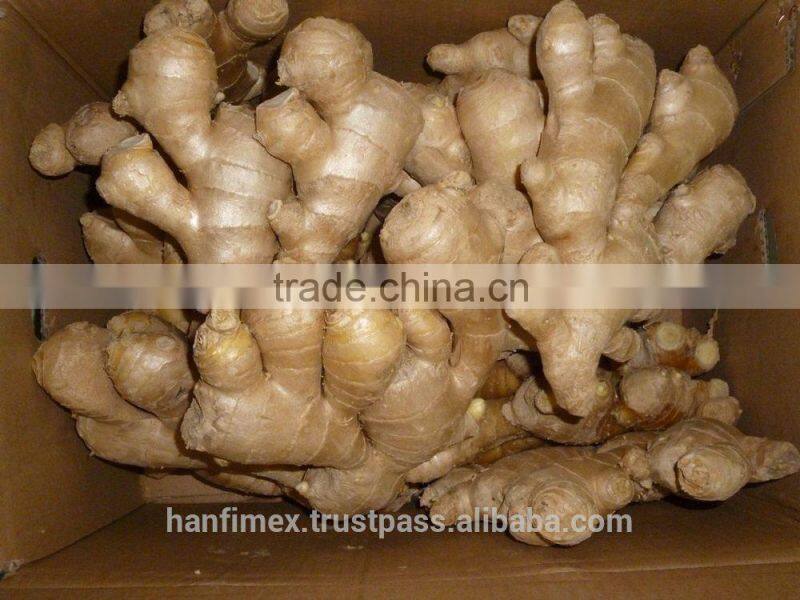 FRESH GINGER 200G UP FOR ALL MARKET