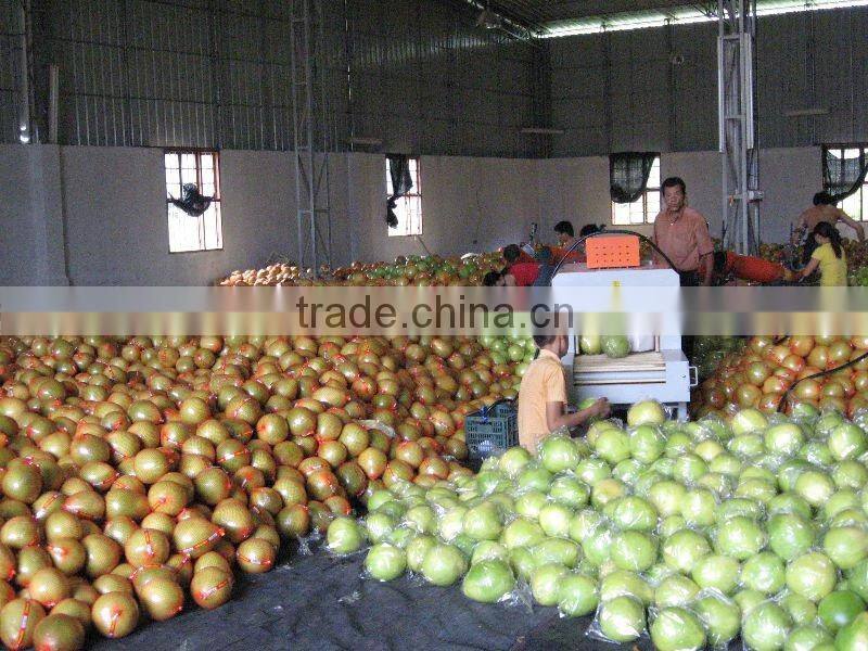 Chinese Honey Pomelo