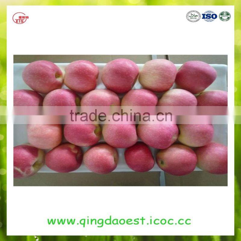 Good quality Shandong peanut in shell with best price