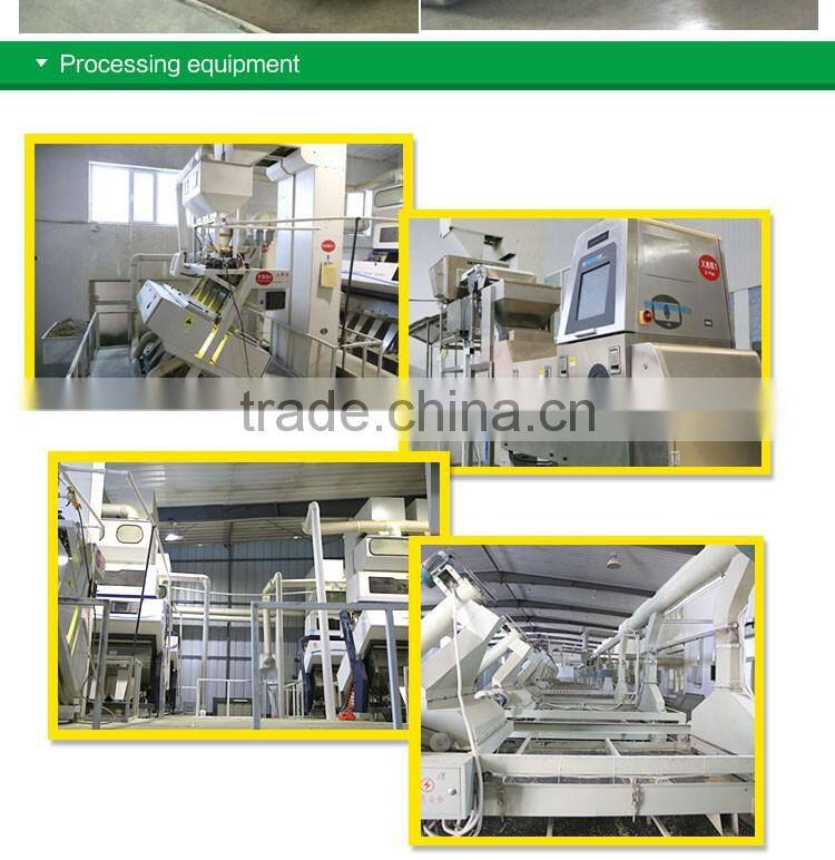 buy big siz BLACK MELON SEEDS