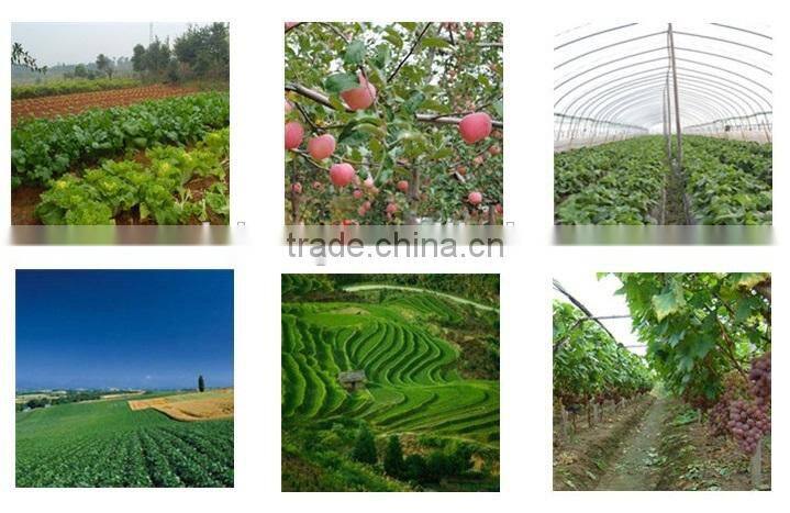 Gasoline cultivator tiller blade tine With Low Price