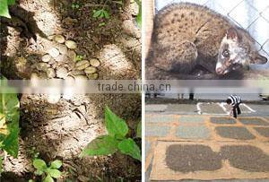 coffee roasting machines