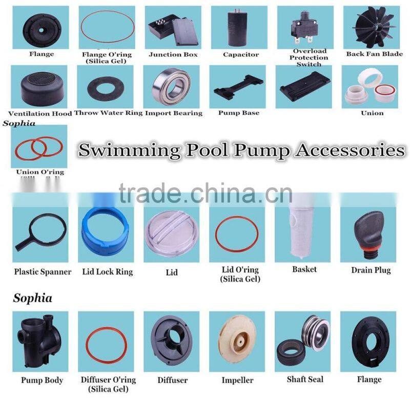 Brushless DC Solar Water Pump for Swimming Pool