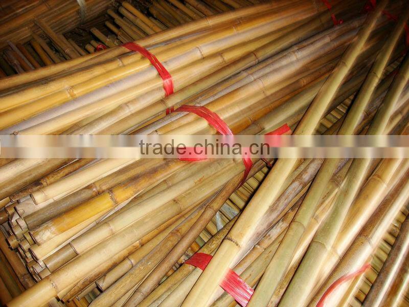 Factory direct green dry straight raw bamboo poles