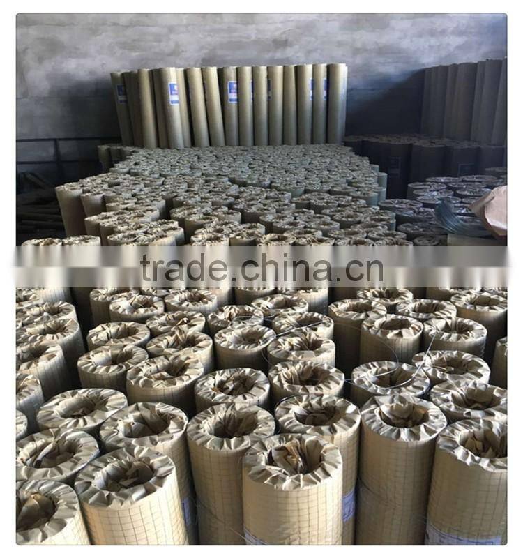 1*30m PVC coated welded wire mesh / 1*20m 1/2 inch galvanized welded wire mesh cheap