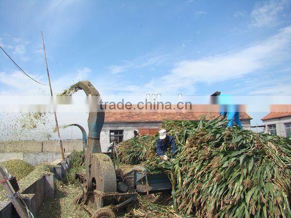 Fresh Straw and Corn Crusher/Ensilage Crusher/small animal feed grinder 9FQ-320