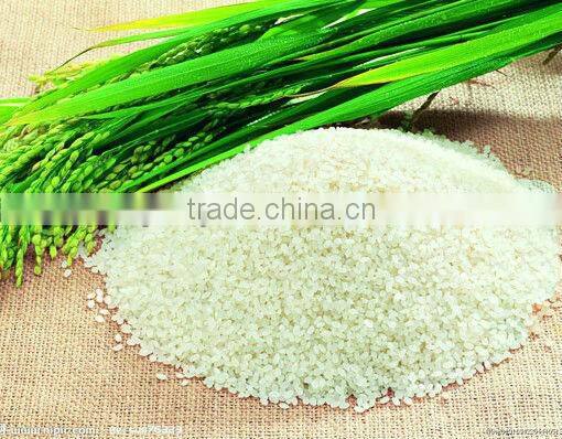 High Quality Color Sorter