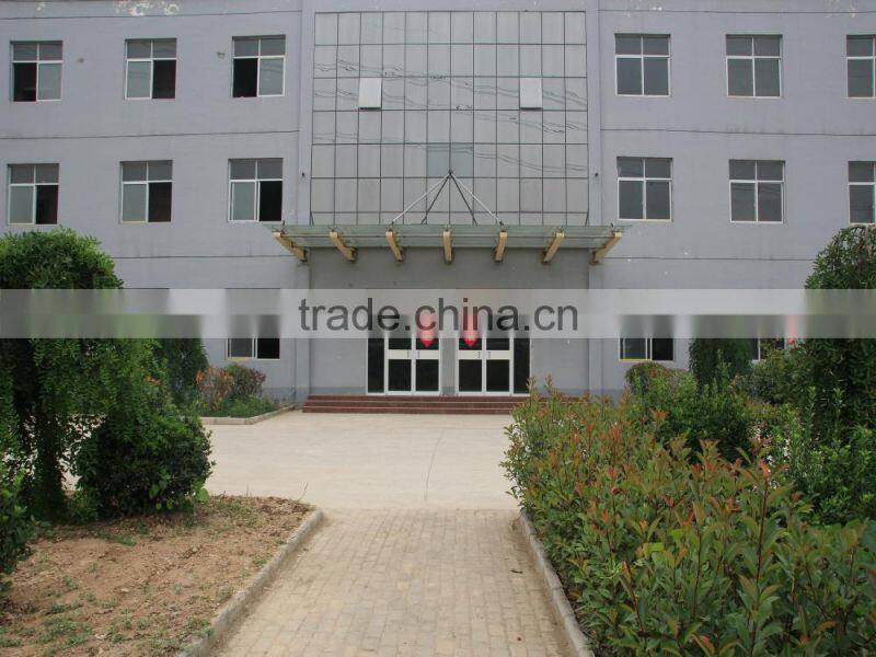 Environmental Friendly Municipal waste to oil recycling gasify plant 12 tpd