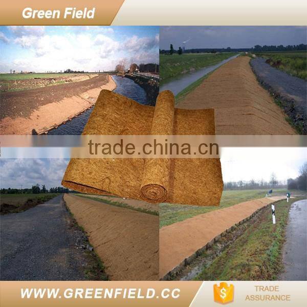 2017 new coconut fiber snow ice carpet mat non slip carpet