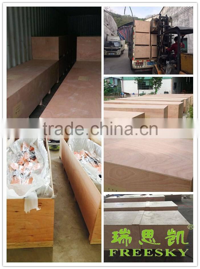 PC 2 seat clear bottom transparent pedal boats for sale