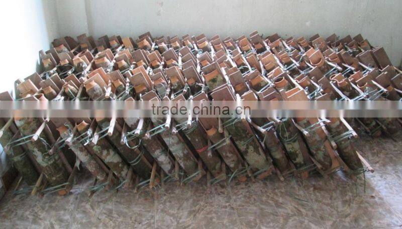 Vietnam cinnamon high quality