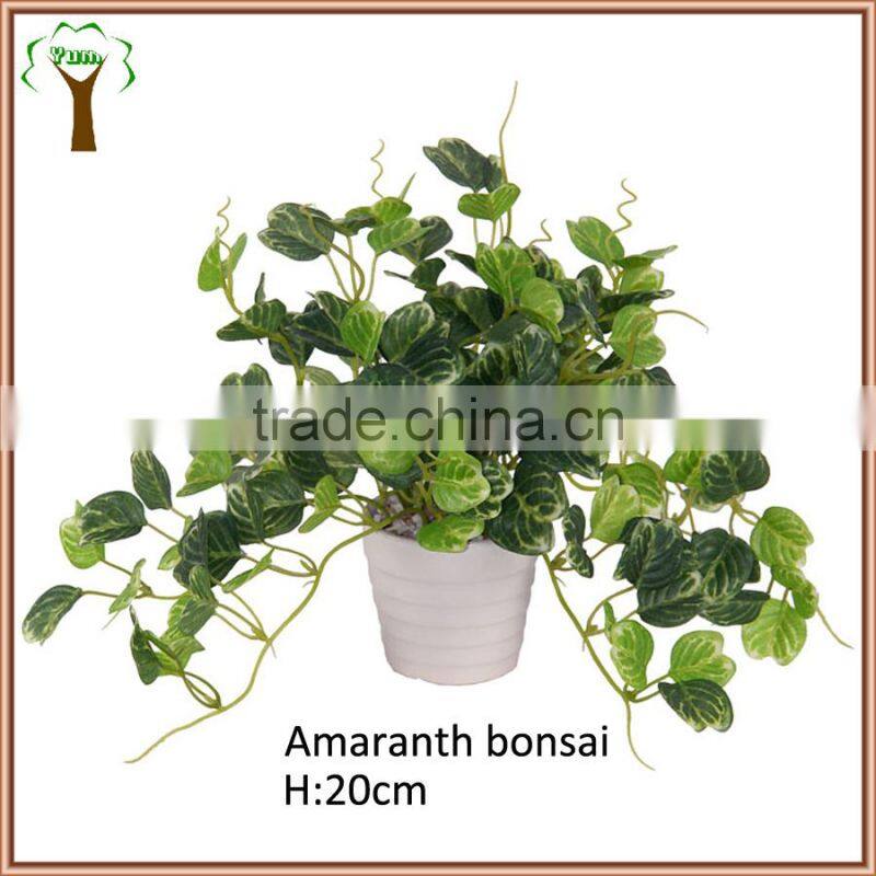 Artificial amaranth plant bonsai