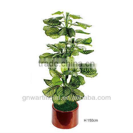 plant and tree nursery green mini plants indoor office GNW G120