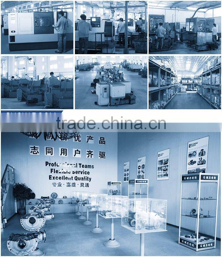 High precision-Chemical Machinery Parts- Sun Gear