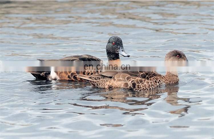 USA-2000 Grade A 70/30 grey duck down big down cluster high filling power, cleaness, odorless, whole sales