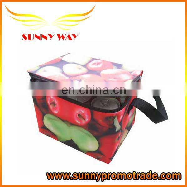 Custom Insulated lunch bag