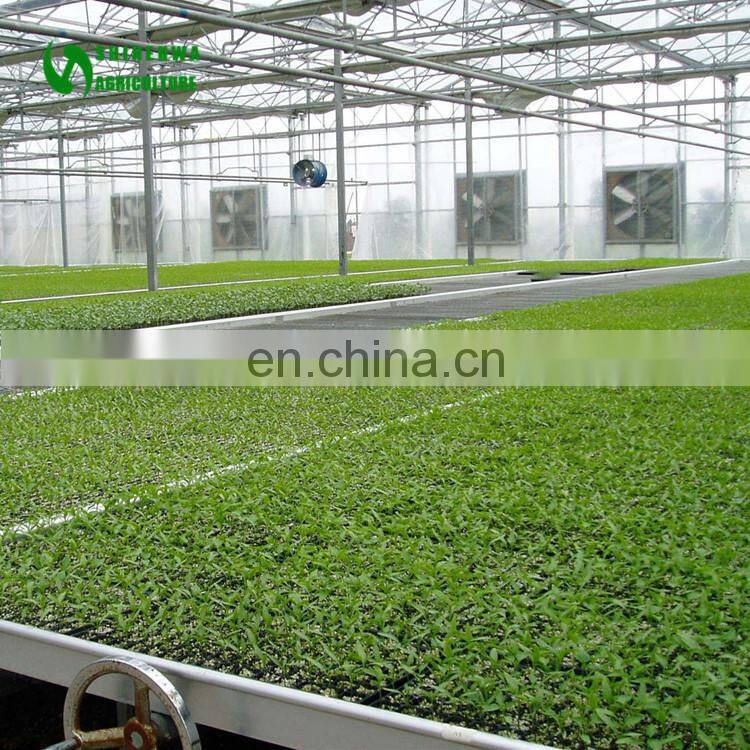 New Design Greenhouse Netting Bed In Plants Nursery In Sri Lanka