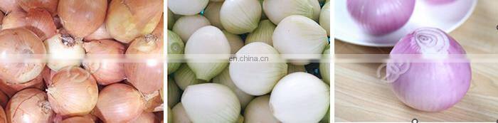 Large Model Automatic Onion Peeling And Root Cutting Machine For Sale