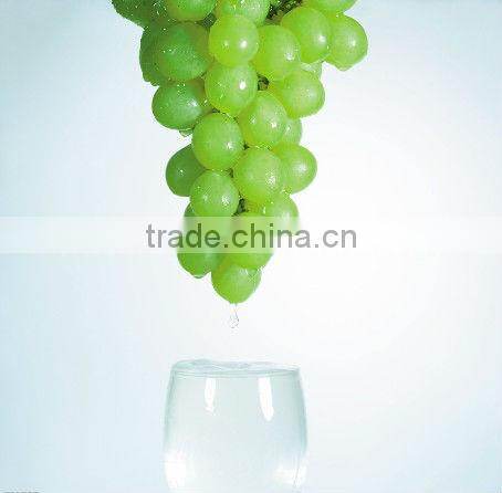 Hot selling Grape Juice Extractor machine/juice extractor machine for grape/grape juicing machine