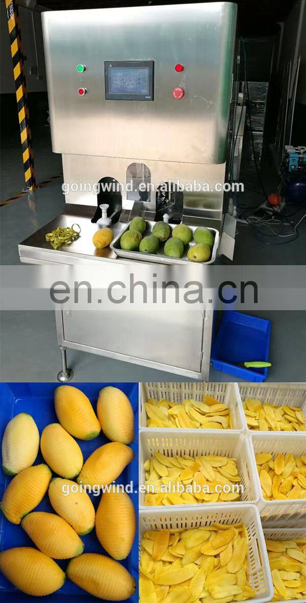 Automatic dried mango chips processing machine auto dehydrated mango making plant machinery cheap price for sale