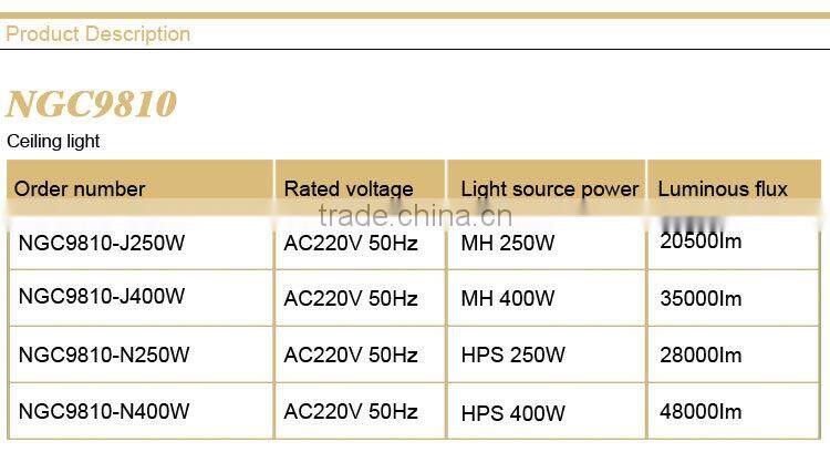 NGC9810 Ceiling Light
