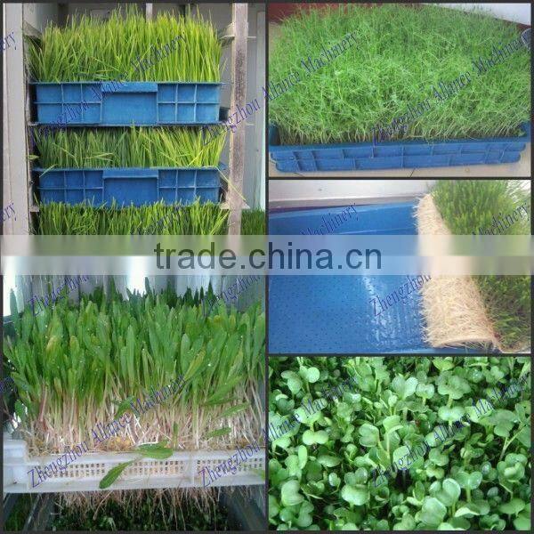 High performance automatic barley fodder growing machine for cattle,sheep,horse,animal,livestock fodder
