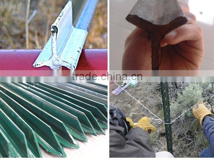 Green paint steel studded t post for USA market
