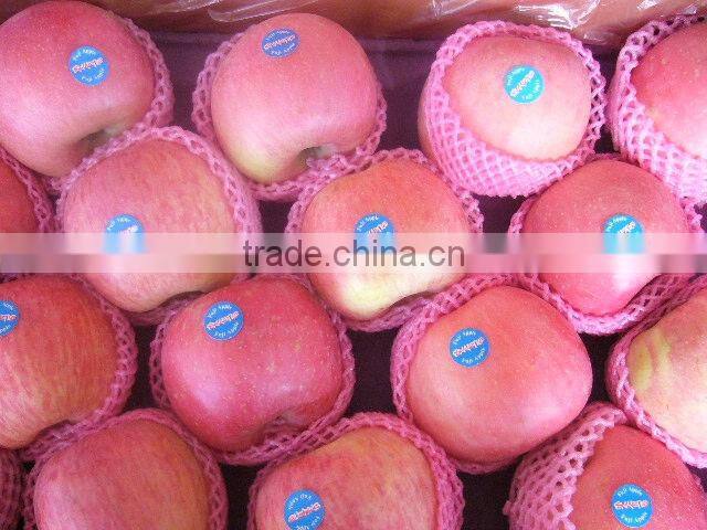 red Fuji apple from China